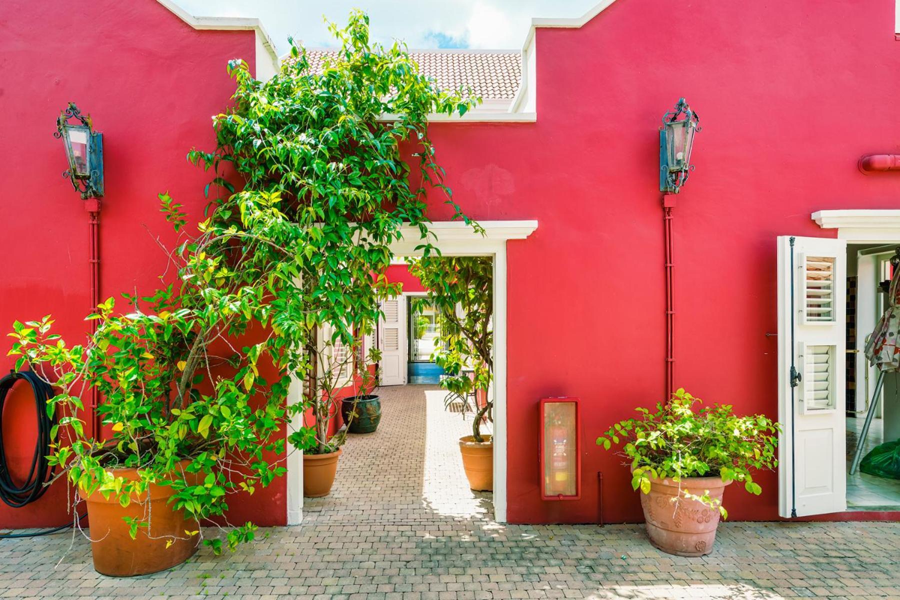 Villa Tokara Boutique Hotel Βίλλεμσταντ Εξωτερικό φωτογραφία